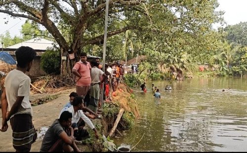 বাগমারা'য় পুকুরে বিষ দিয়ে অর্ধকোটি টাকার মাছ নিধন