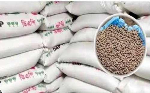 বাগমারায় সার ডিলার নিয়োগে ত্যাগী বিএনপিকর্মীদের বঞ্চিত করার অভিযোগ, সুপারিশ নিয়ে প্রশ্ন